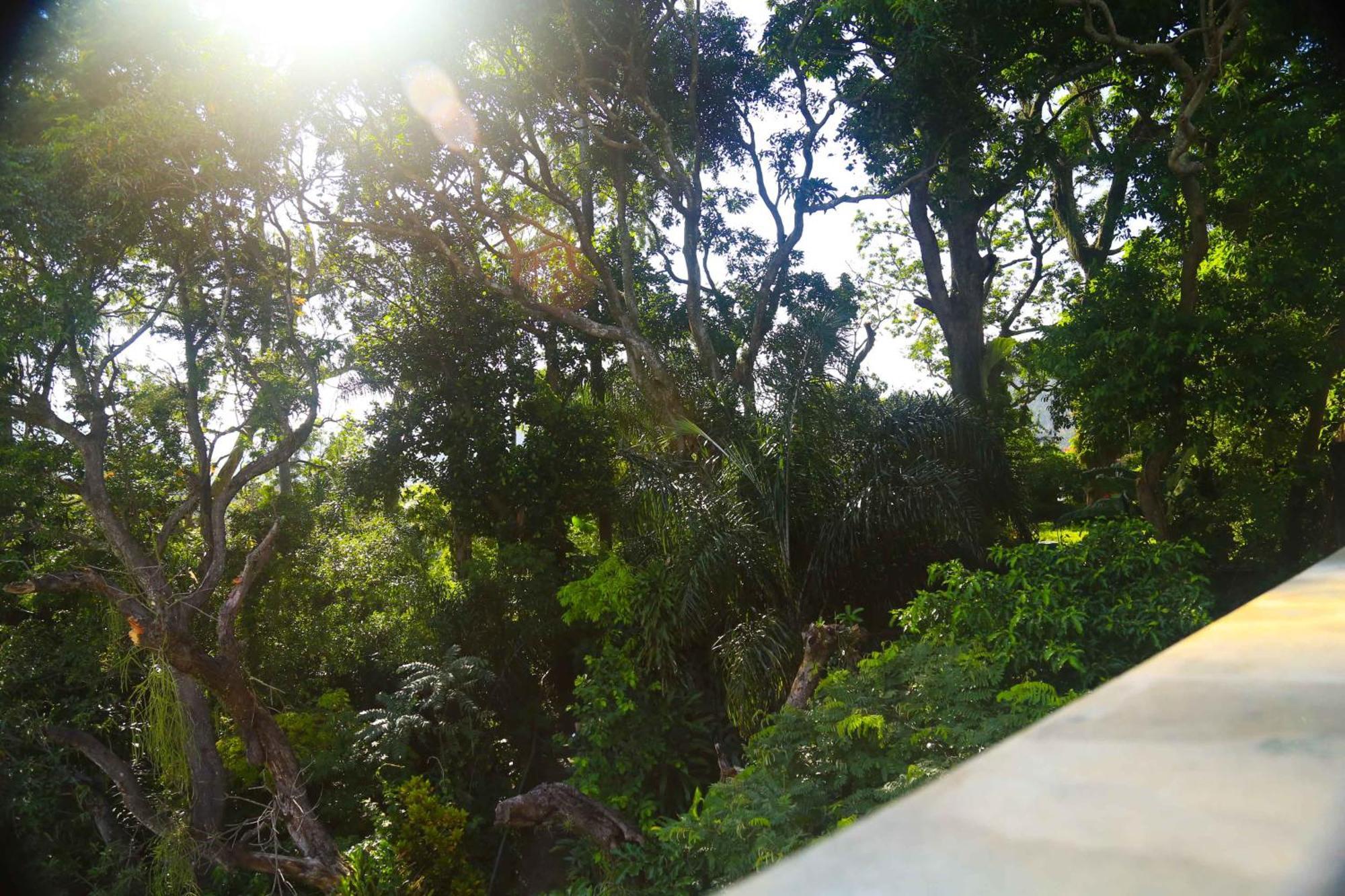 Blue Hill Guest House - Rio de Janeiro, Rio de Janeiro